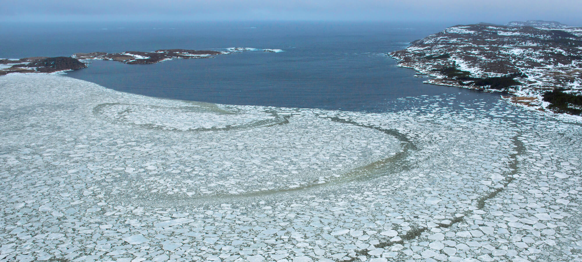 Pack Ice Season Fogo Islands Inn